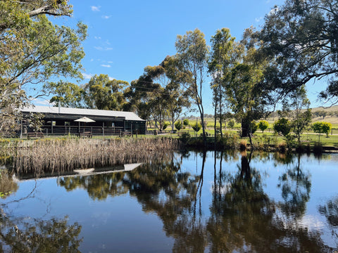 View looking over the Hill River Wines dam at the Cellar Door on a beautiful sunny, blue sky day.
