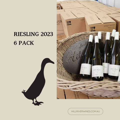 Riesling 2023 - 6 pack