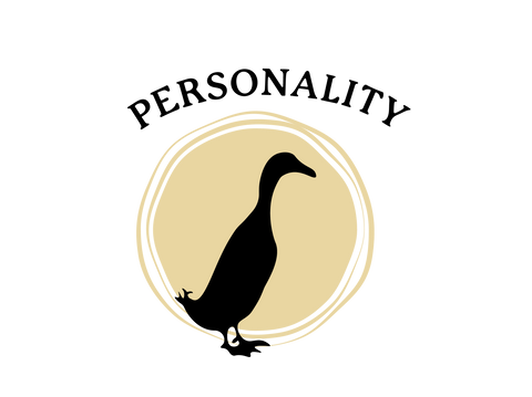 Hill River Wines is big on Personality. Bryan the duck standing infront of yellow splodge.