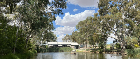 View across the dam at Hill River Wines Cellar Door.